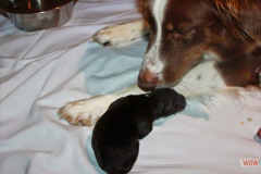 img_2430.jpg