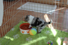 38img_0121