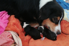IMG-20230514-WA0020
