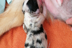 IMG-20230514-WA0035