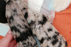 IMG-20230514-WA0043