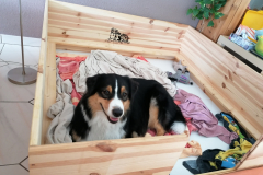 Es geht los...