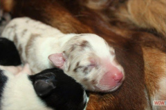 img_2592.jpg