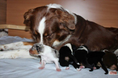 img_2746.jpg