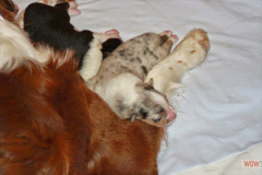 img_2989.jpg