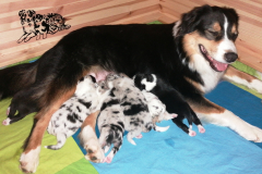 IMG-20230522-WA0098
