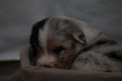 IMG_3664