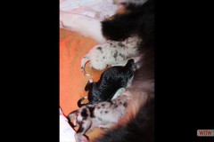 img_0485.jpg