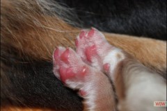 img_0601.jpg