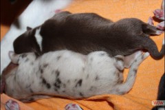 img_0652.jpg