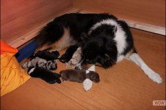 img_0673.jpg
