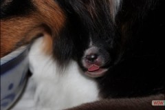 img_0726.jpg