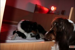 img_0758.jpg