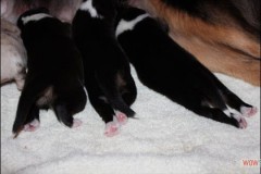img_0983.jpg