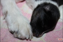 img_0998.jpg