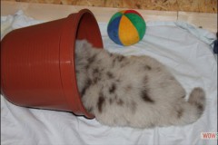 img_2715.jpg