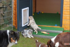 img_3055.jpg