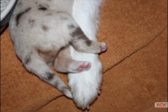 img_1279.jpg