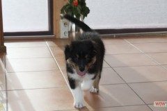 img_3706.jpg