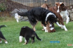 img_3725.jpg