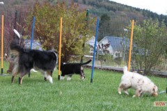 img_3743.jpg