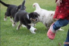 img_3767.jpg
