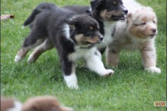 img_3768.jpg