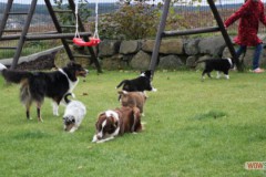 img_3769.jpg