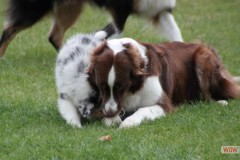 img_3770.jpg