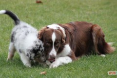 img_3771.jpg