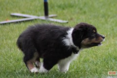img_3776.jpg