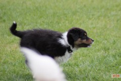 img_3777.jpg
