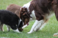 img_3778.jpg