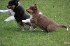 img_3783.jpg