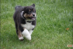img_3785.jpg