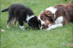 img_3788.jpg
