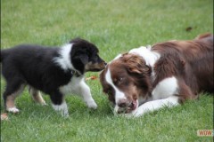 img_3789.jpg