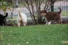 img_3792.jpg