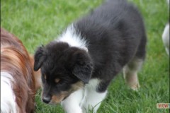 img_3793.jpg