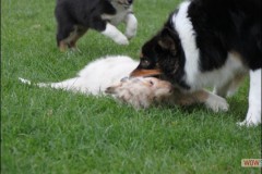 img_3805.jpg