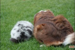 img_3811.jpg