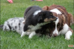 img_3826.jpg