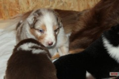img_7633.jpg