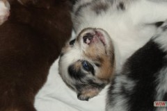 img_7634.jpg