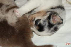 img_7641.jpg