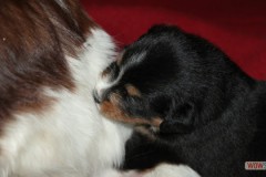 img_7643.jpg