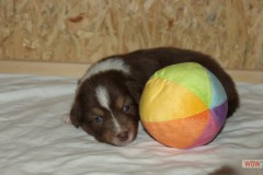 img_7796.jpg