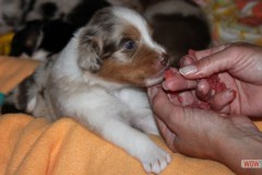 img_7826.jpg