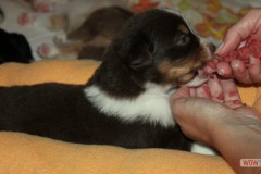 img_7832.jpg