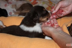 img_7835.jpg